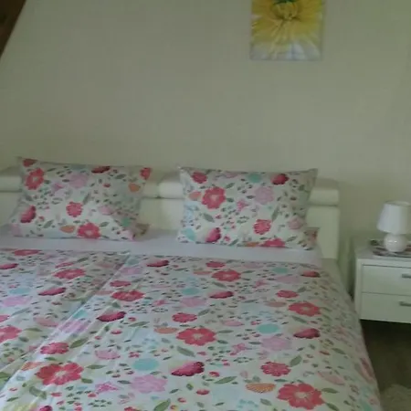 Schnepel Sankt Michaelisdonn