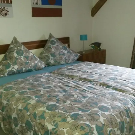 Apartment Schnepel